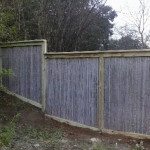 2013-02-11-16.05