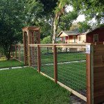 2013-07-29-08.31