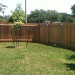fence2