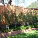 Kevin's-Phone-644