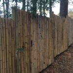 bamboo stick fence